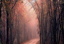 九游：武磊：奥斯卡是世界顶级球星；穆斯卡特带来不一样的足球理念.