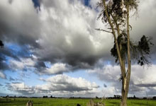 九游：阮奇龙：把胜利送给吴庆，很遗憾没能参加于大宝的退役仪式.