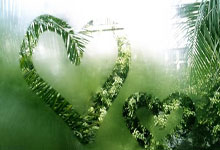 九游：国米近4次意甲对乌迪内斯全胜，意甲主场交手已取得6连胜.