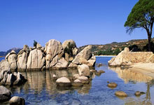 九游：辛纳3-0横扫谢尔顿晋级澳网决赛 与兹维列夫争冠.